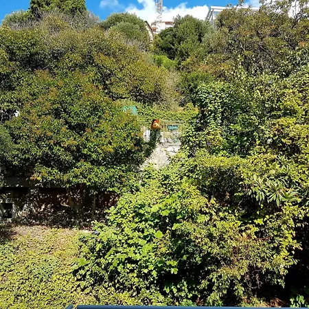 Cosy, Comfortable 1bed Flat 500m To Monaco Beach, Terrace, Garden * Beausoleil